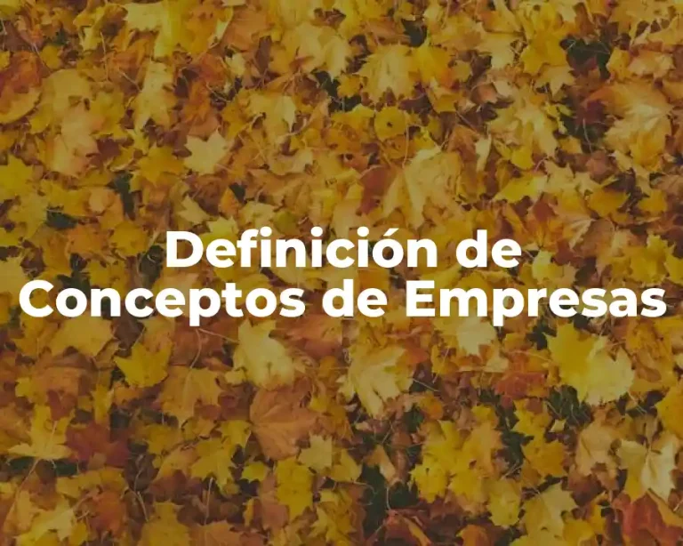 Definición de Conceptos de Empresas