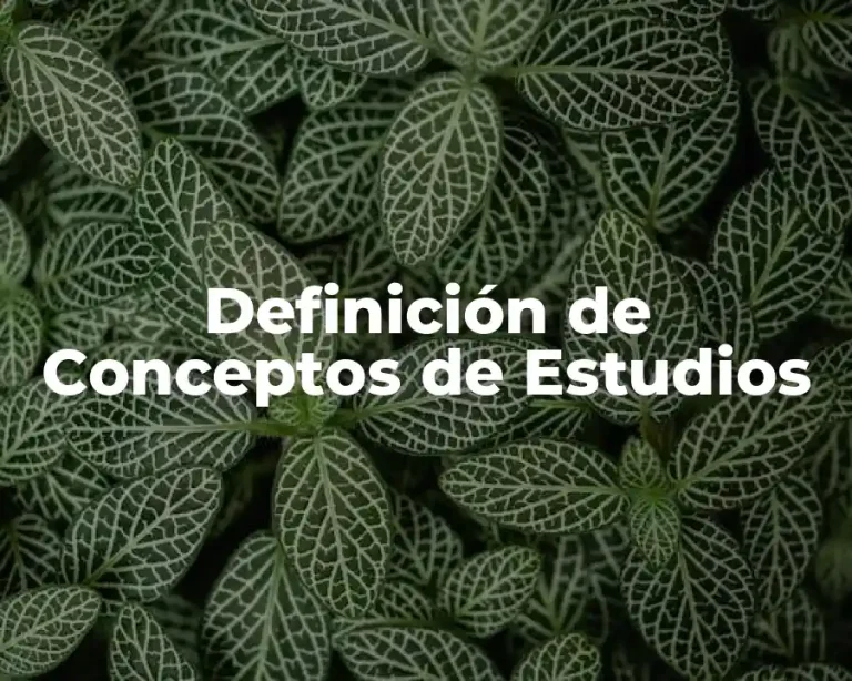 Definición de Conceptos de Estudios