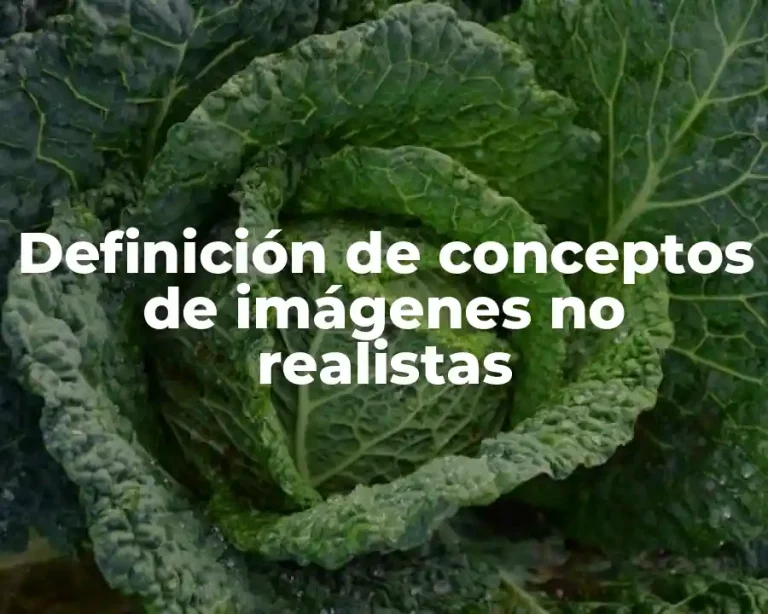 Definición de conceptos de imágenes no realistas