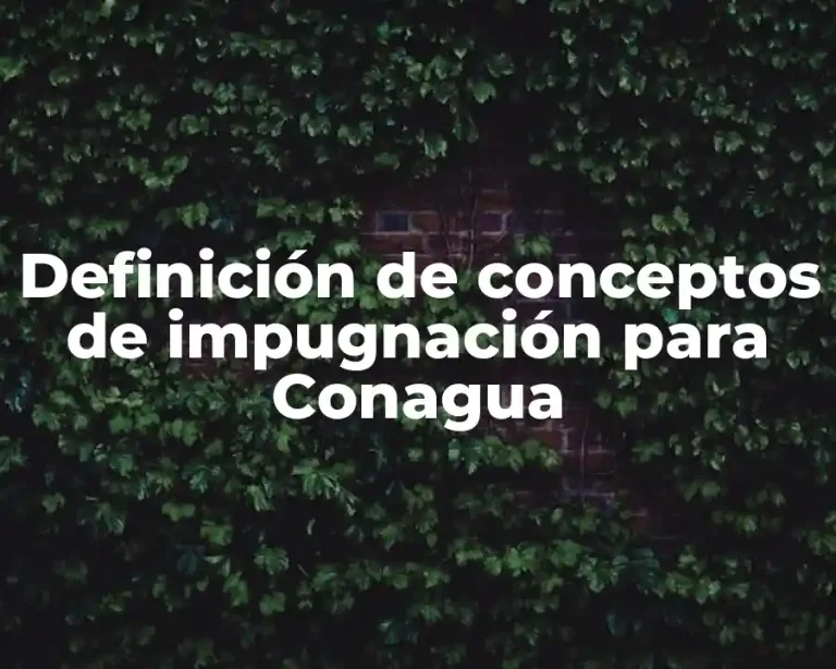 Definición de conceptos de impugnación para Conagua
