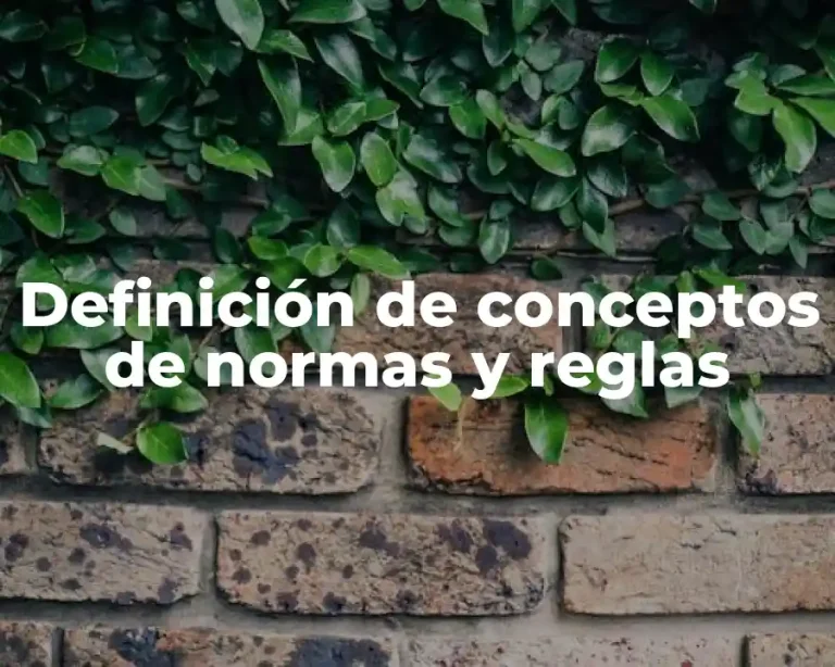 Definición de conceptos de normas y reglas