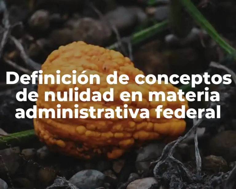 Definición de conceptos de nulidad en materia administrativa federal