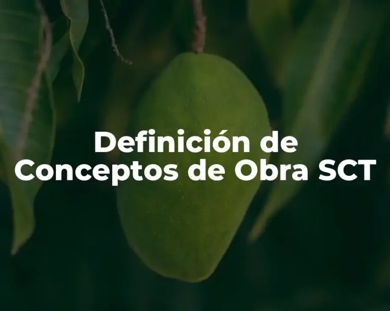 Definición de Conceptos de Obra SCT