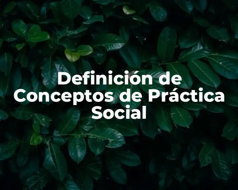 Definición de Conceptos de Práctica Social