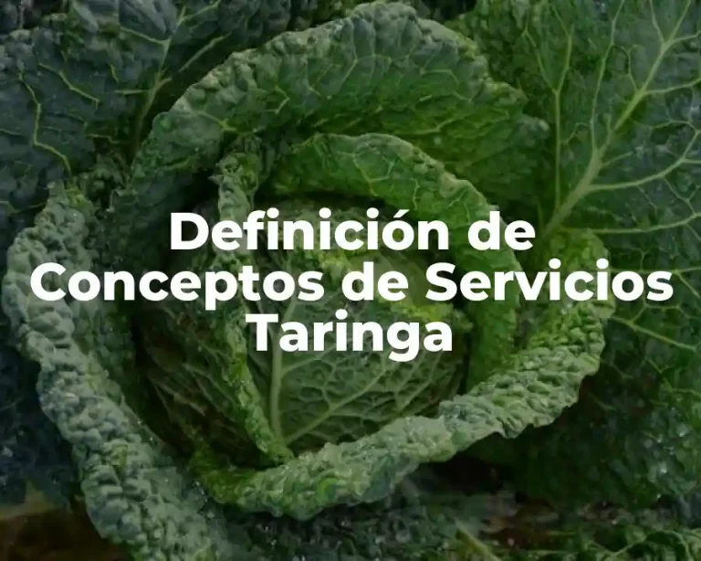 Definición de Conceptos de Servicios Taringa