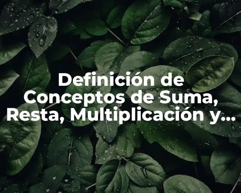 Definición de Conceptos de Suma, Resta, Multiplicación y División