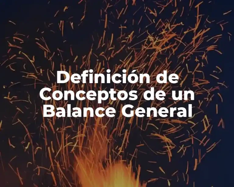 Definición de Conceptos de un Balance General