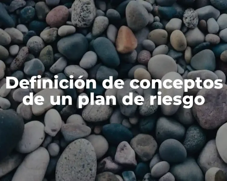 Definición de conceptos de un plan de riesgo