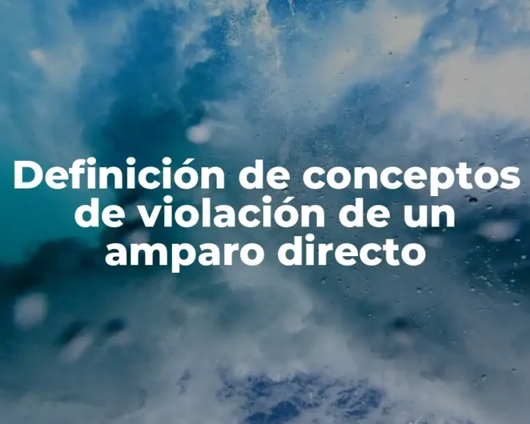 Definición de conceptos de violación de un amparo directo