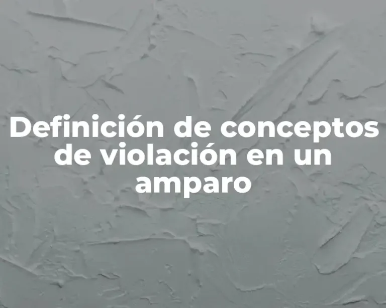 Definición de conceptos de violación en un amparo