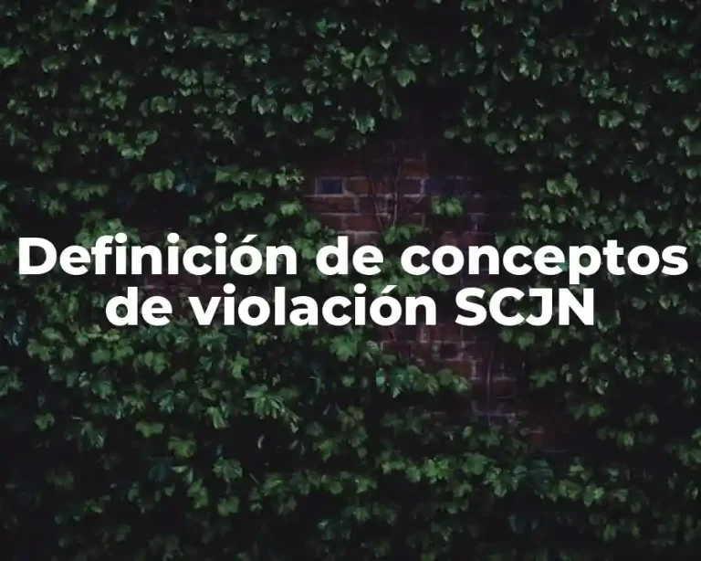 Definición de conceptos de violación SCJN