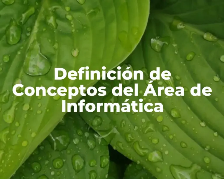 Definición de Conceptos del Área de Informática