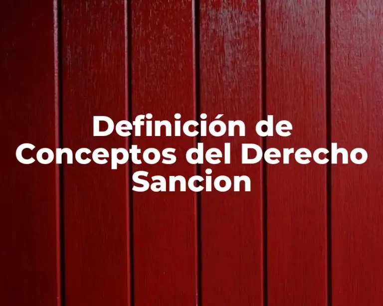 Definición de Conceptos del Derecho Sancion