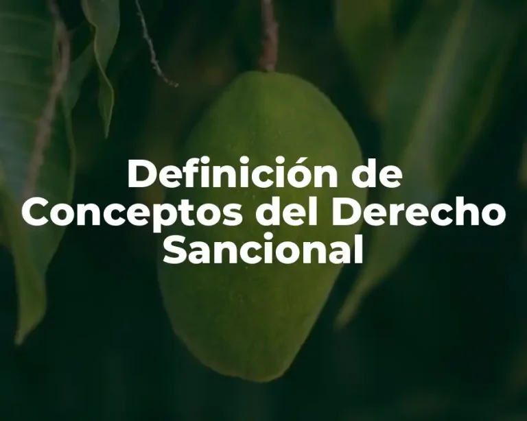 Definición de Conceptos del Derecho Sancional