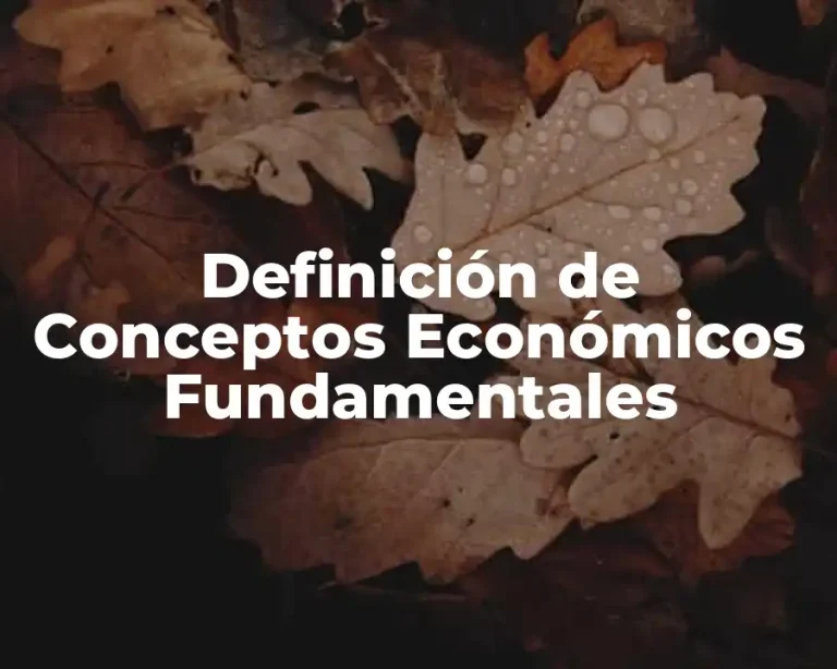 Definición de Conceptos Económicos Fundamentales