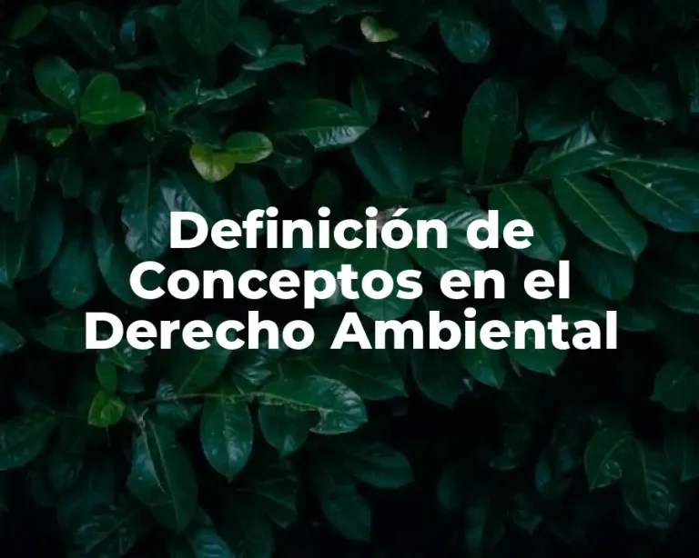Definición de Conceptos en el Derecho Ambiental
