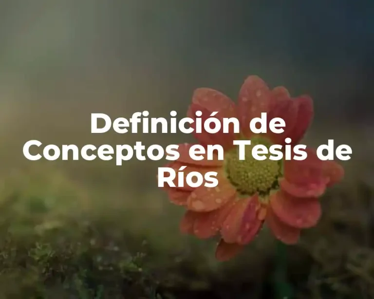 Definición de Conceptos en Tesis de Ríos