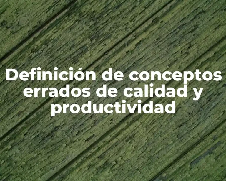 Definición de conceptos errados de calidad y productividad