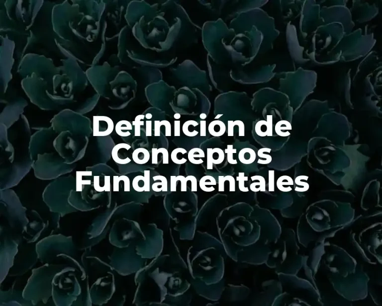 Definición de Conceptos Fundamentales