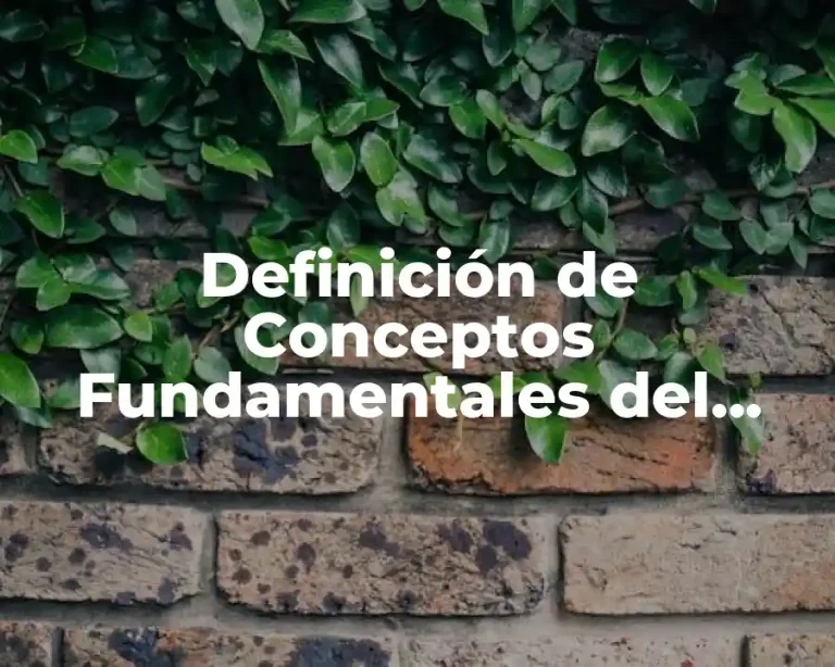 Definición de Conceptos Fundamentales del Derecho Persona