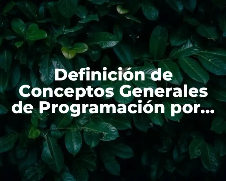 Definición de Conceptos Generales de Programación por Meta