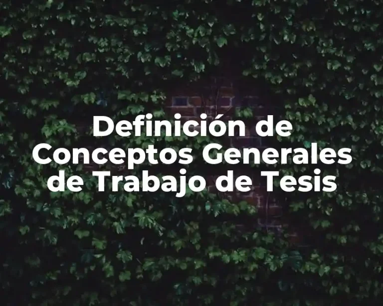 Definición de Conceptos Generales de Trabajo de Tesis