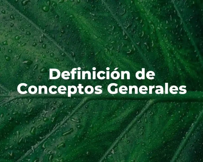 Definición de Conceptos Generales