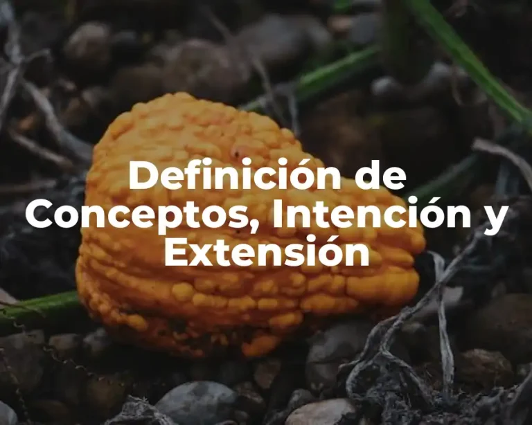 Definición de Conceptos, Intención y Extensión