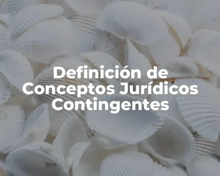 Definición de Conceptos Jurídicos Contingentes