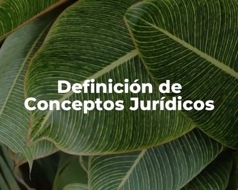 Definición de Conceptos Jurídicos