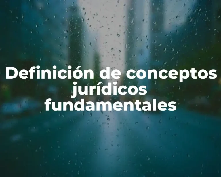 Definición de conceptos jurídicos fundamentales
