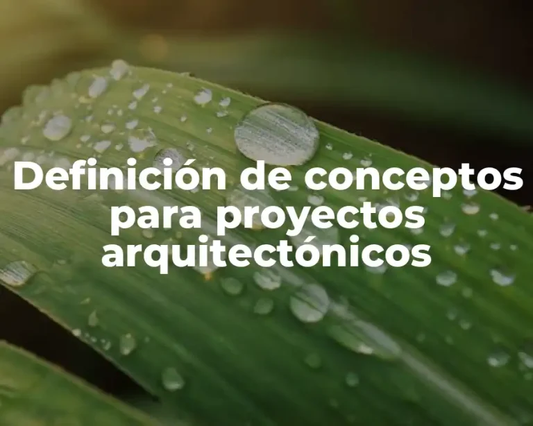 Definición de conceptos para proyectos arquitectónicos