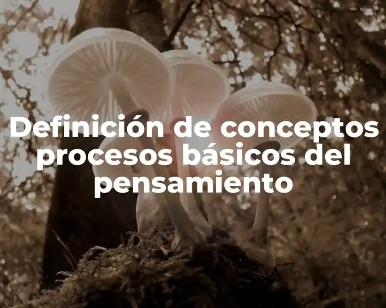 Definición de conceptos procesos básicos del pensamiento