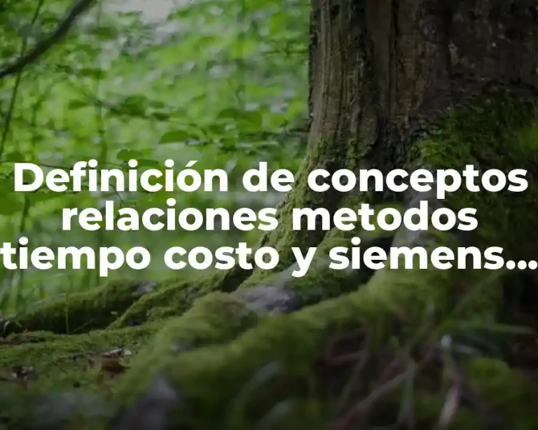 Definición de conceptos relaciones metodos tiempo costo y siemens sam