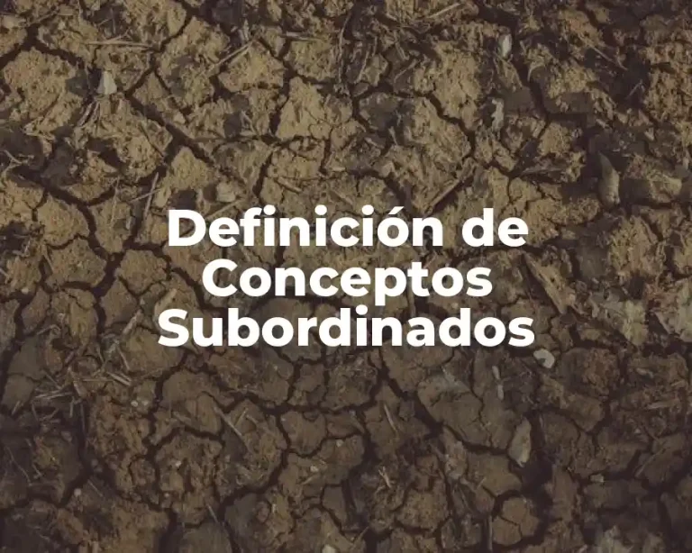 Definición de Conceptos Subordinados