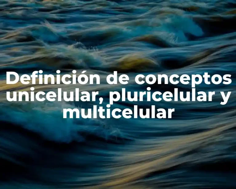 Definición de conceptos unicelular, pluricelular y multicelular