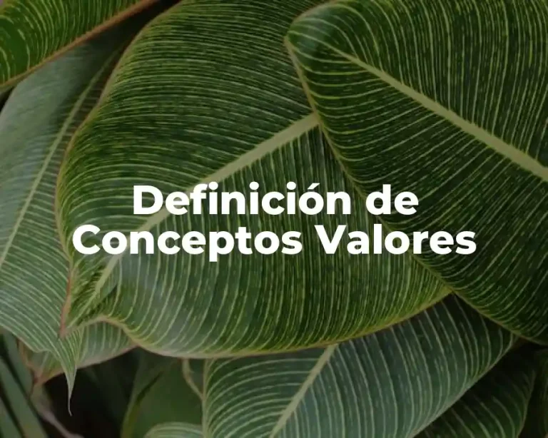 Definición de Conceptos Valores