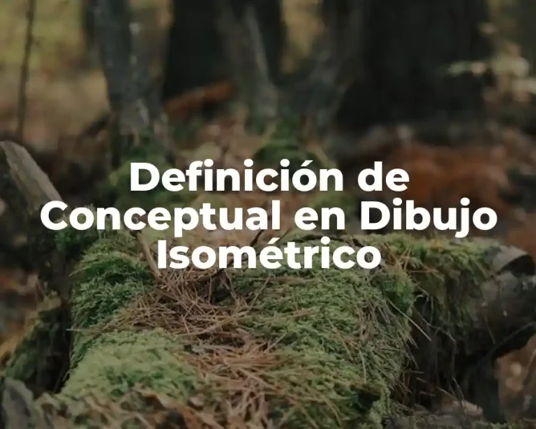Definición de Conceptual en Dibujo Isométrico