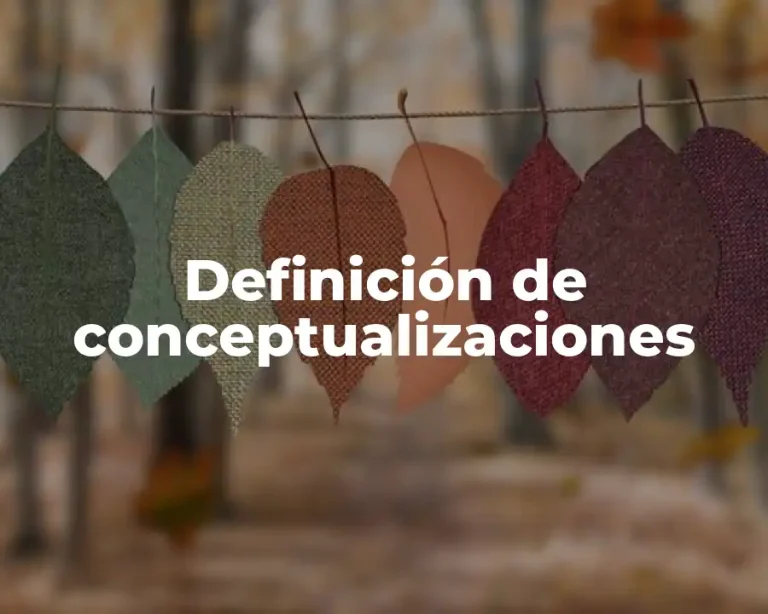 Definición de conceptualizaciones