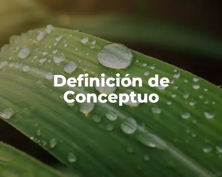 Definición de Conceptuo