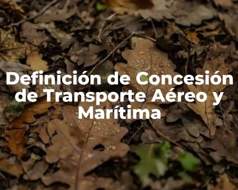 Definición de Concesión de Transporte Aéreo y Marítima