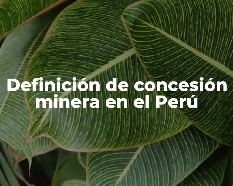 Definición de concesión minera en el Perú