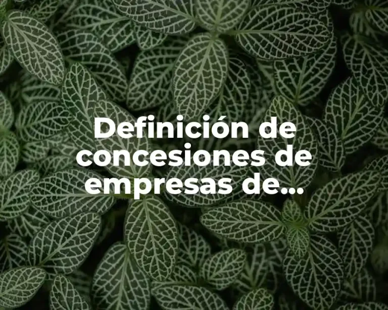 Definición de concesiones de empresas de mensajería