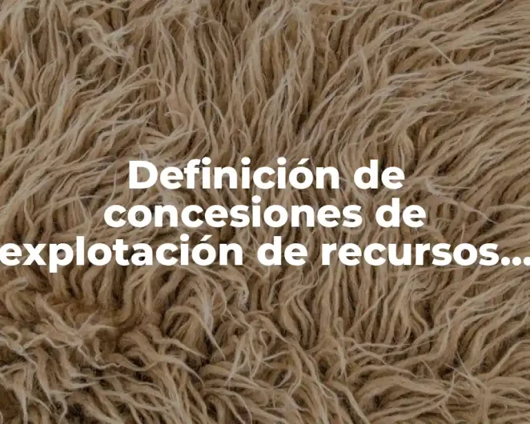 Definición de concesiones de explotación de recursos naturales
