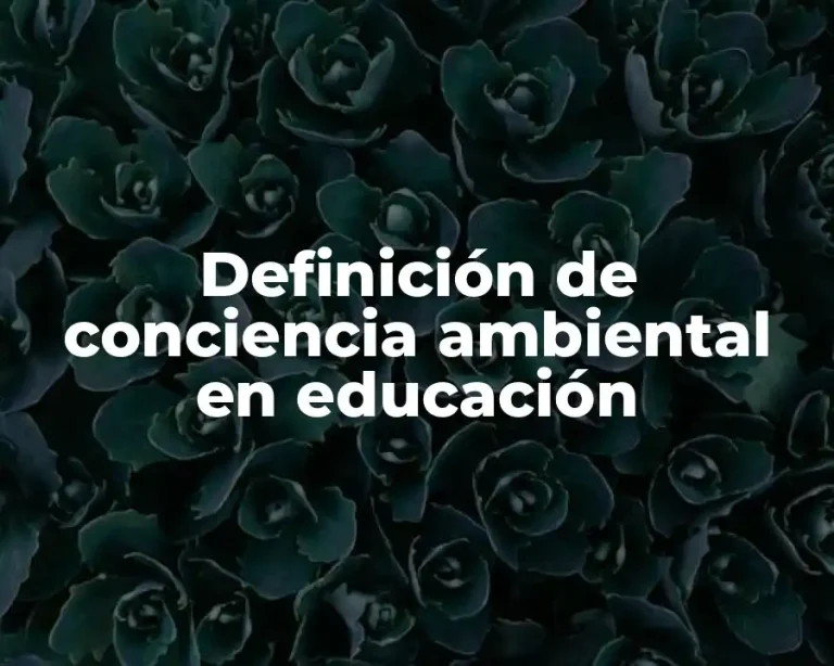 Definición de conciencia ambiental en educación