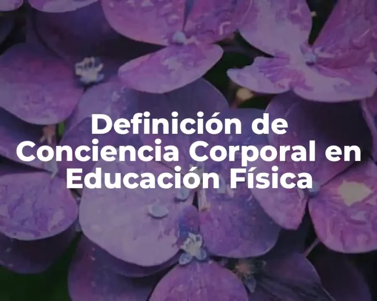 Definición de Conciencia Corporal en Educación Física