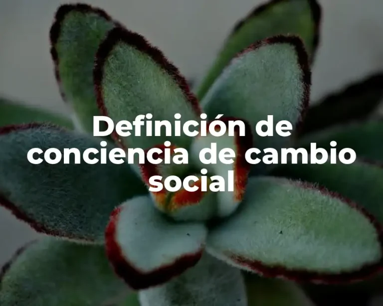 Definición de conciencia de cambio social