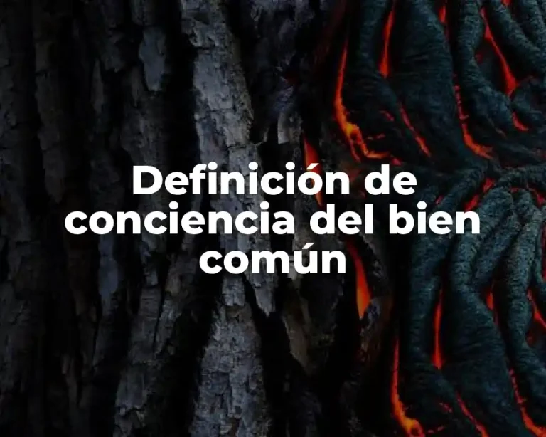 Definición de conciencia del bien común