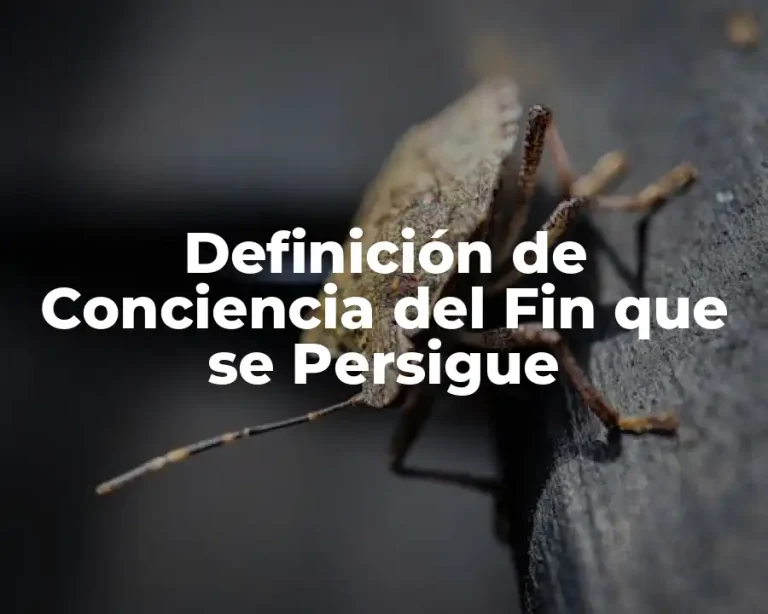 Definición de Conciencia del Fin que se Persigue