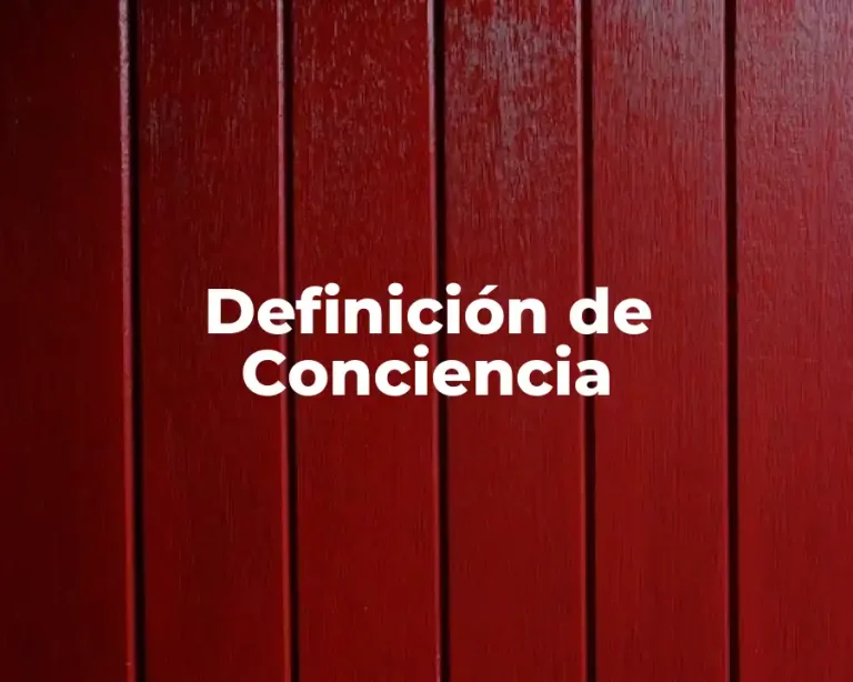 Definición de Conciencia